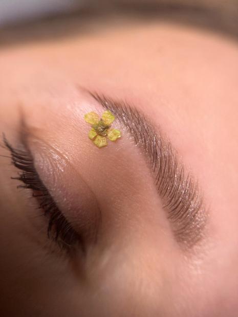 Oprawa oka 2w1 Laminacja brwi z koloryzacją oraz Lifting laminacja rzęs