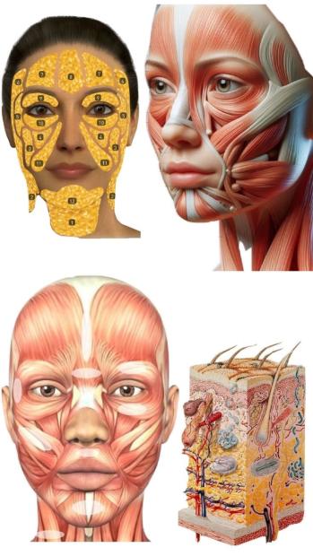 Needle Introduction GRUPOWE