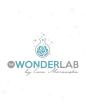 The Wonder Lab by Ewa Morawska