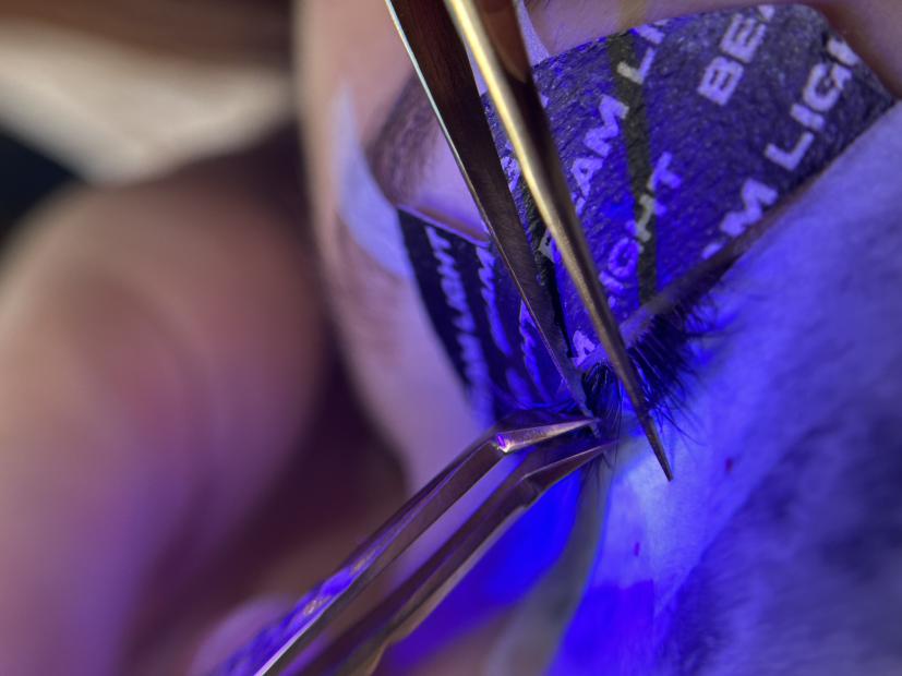 Idealne Stylizacja rzęs i brwi Daria Wojtasiak