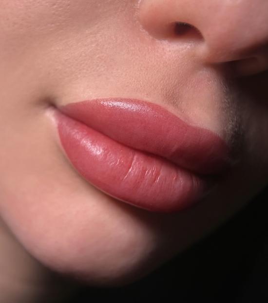 BASIC NATURAL LIPS