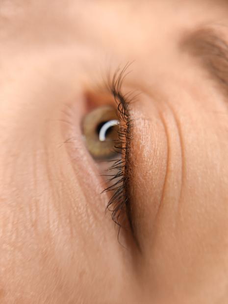 PMU BASIC ALL 5 DAYS