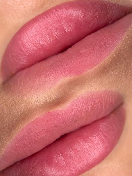 BASIC NATURAL LIPS